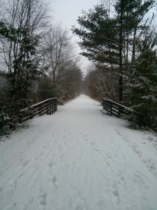 The Ashuwillticook Rail Trail is perfect for cross country skiing and snowshoeing in winter months.