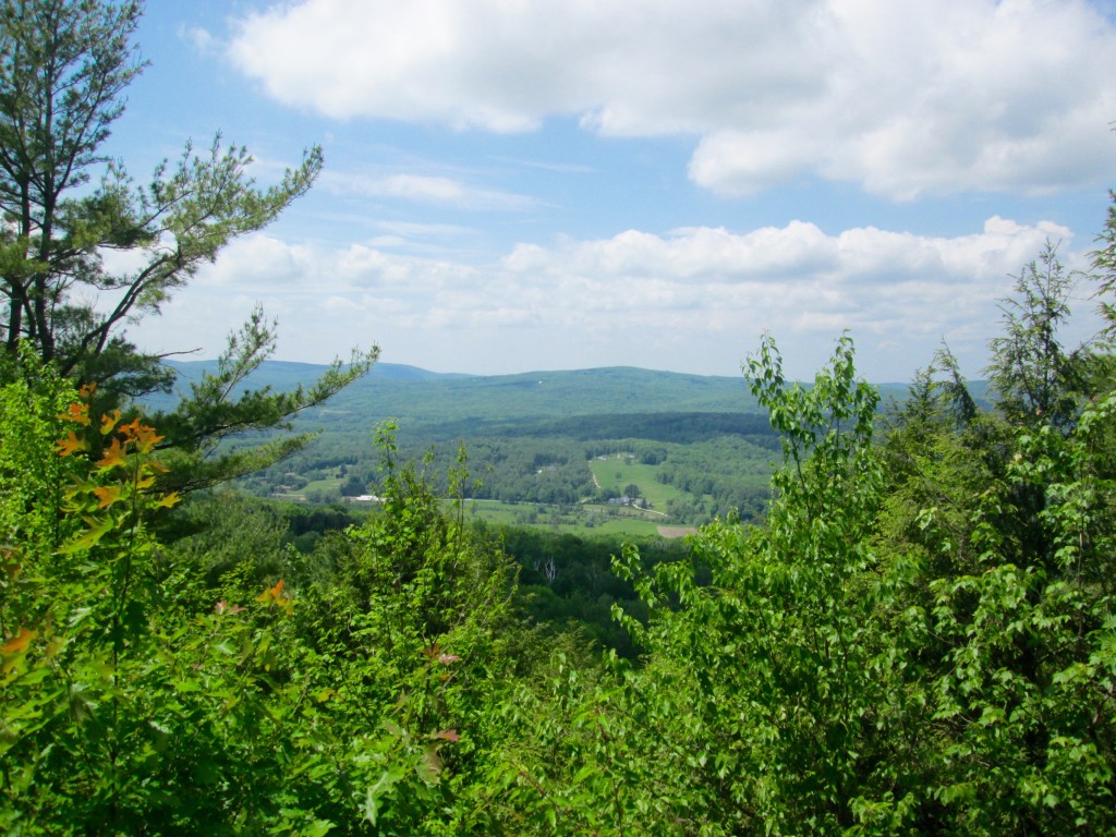 Beautiful view of the Richmond Valley from the West Stockbridge Mountain summit.