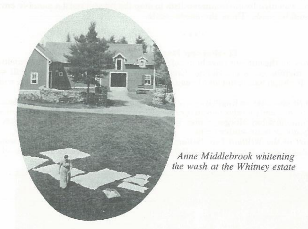 Picture of a woman doing laundry outside at the Whitney estate.