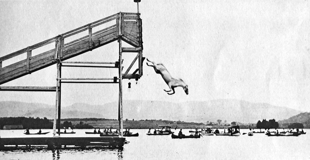 Picture of a horse diving event at Pontoosuc Lake.